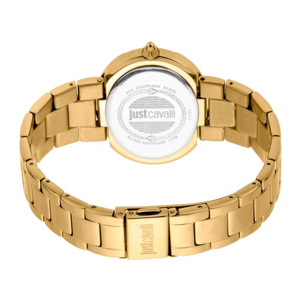 maxima 01440CMGY-WR Analog Men Watch (Gold, Champ, 26.75 mm) in Chandrapur  at best price by Madhav Watch & Bentex Jewellery Showroom - Justdial