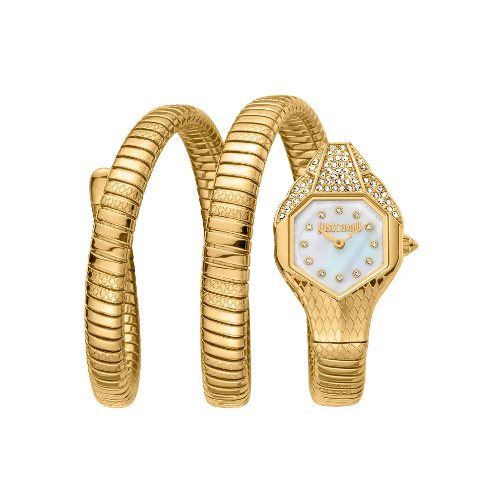 Just Cavalli Signature Snake JC1L193 Glam Evo 7 Doppio JC1L193M0025 main watch image