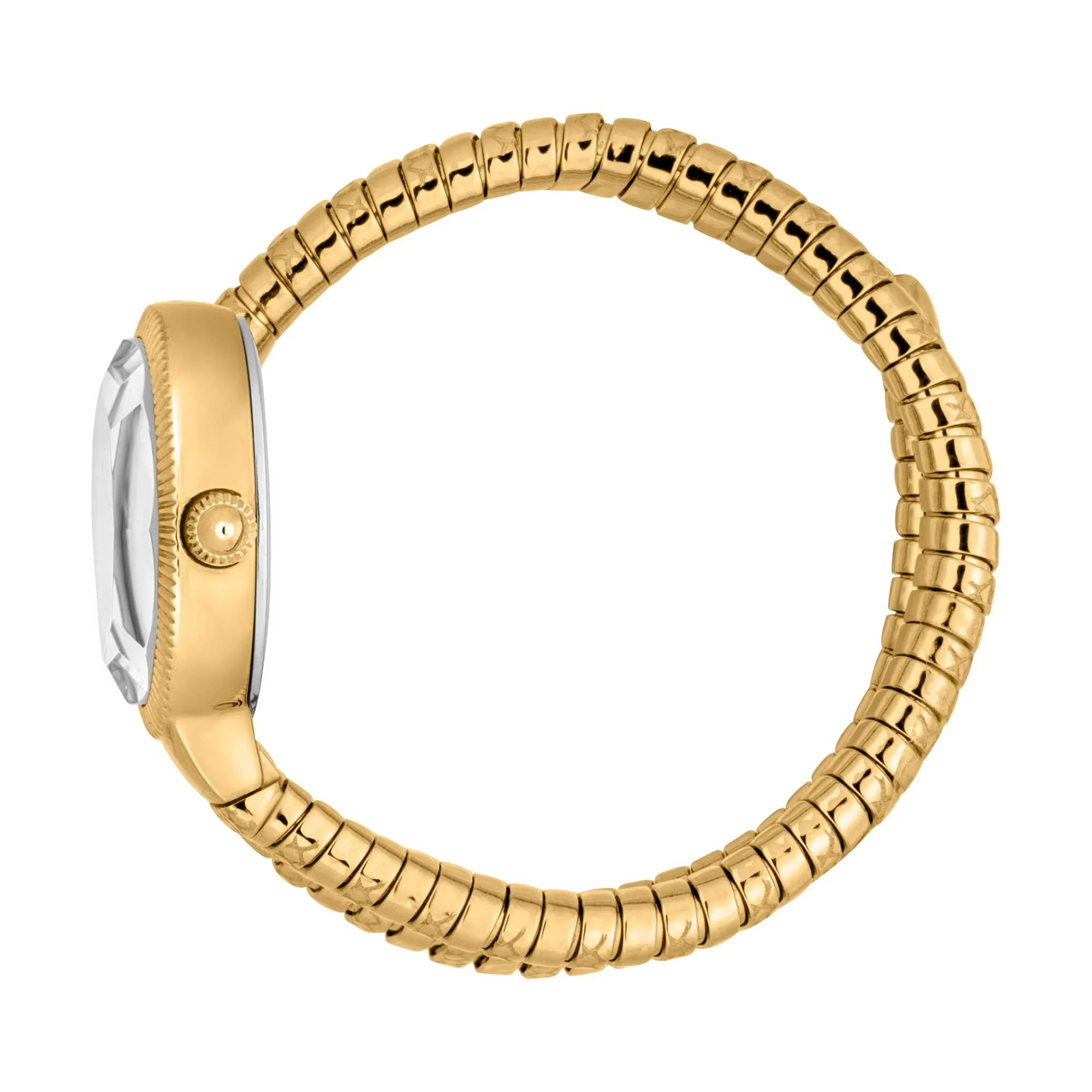 Ardea Yellow Gold Turquoise - Just Cavalli Watches Ardea Yellow Gold Turquoise - Just Cavalli Watches