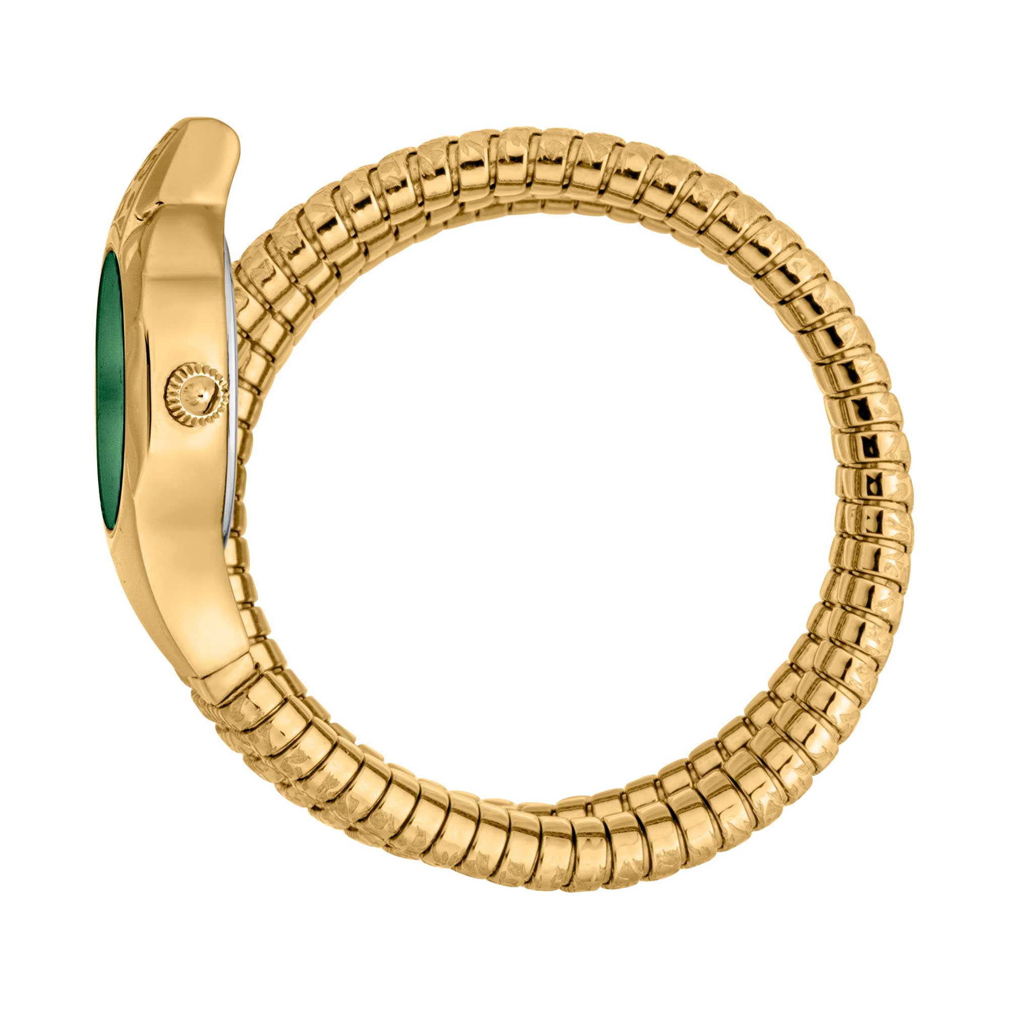 Ravenna Yellow Gold Green - Just Cavalli Watches