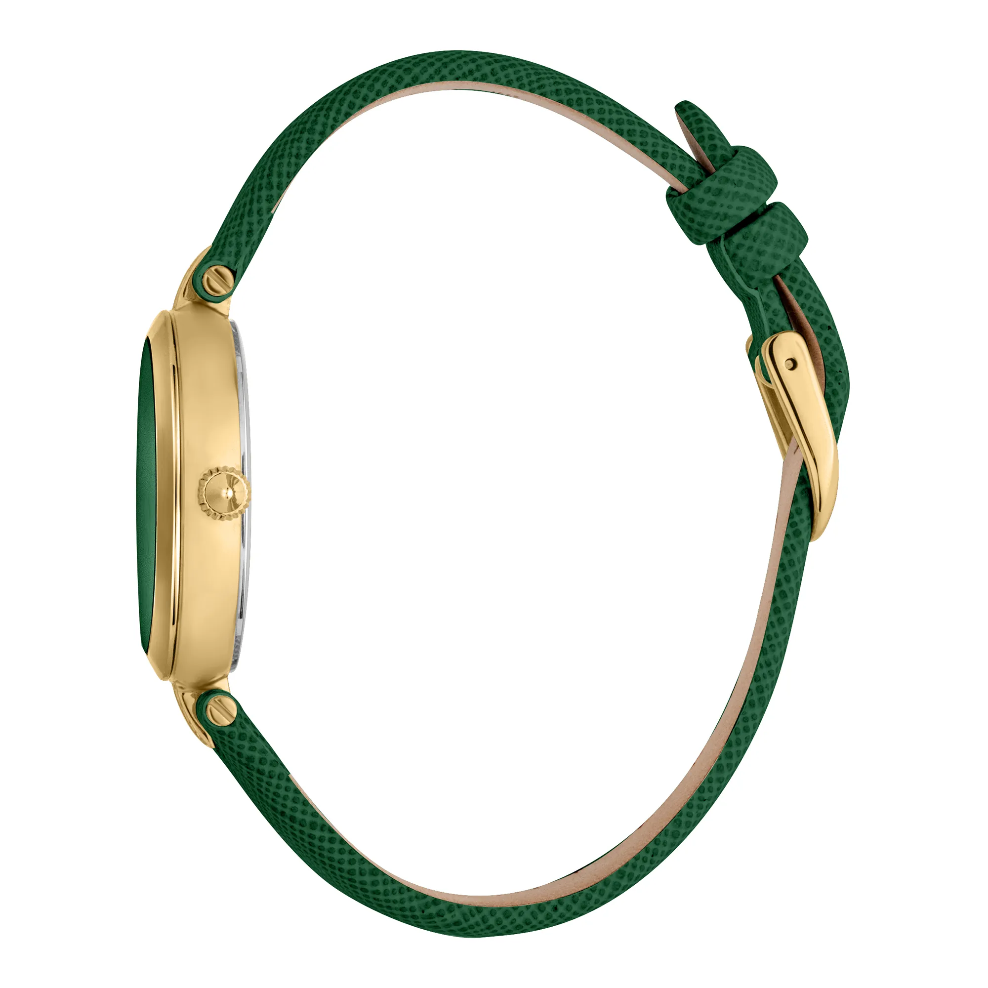 Maiuscola Leather Green Gold - Just Cavalli Watches