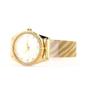 Just Cavalli Animalier Lustro Ladies Fashion Watch - Yellow Gold Silver JC1L313M0025