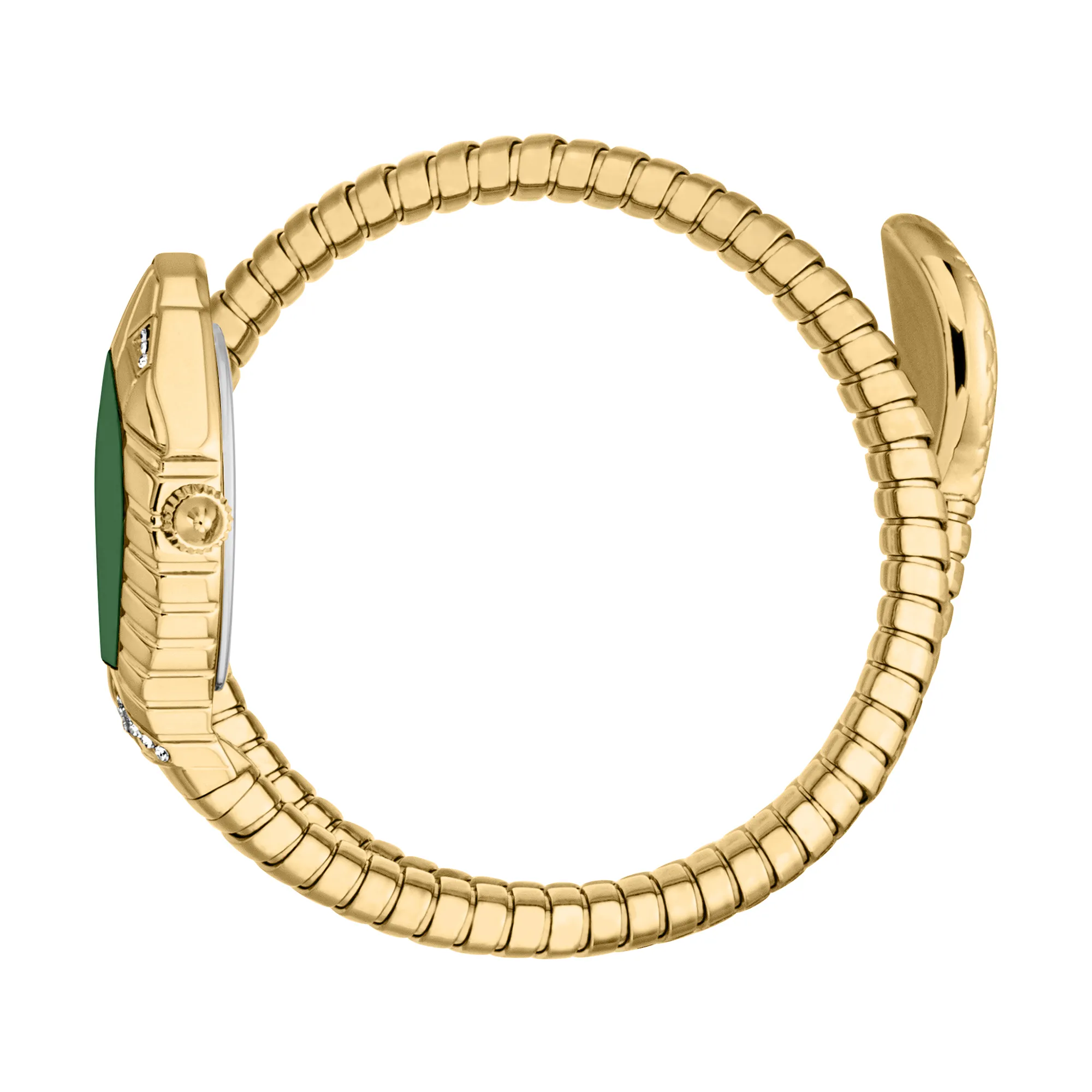 Speranza Yellow Gold Green - Just Cavalli Watches