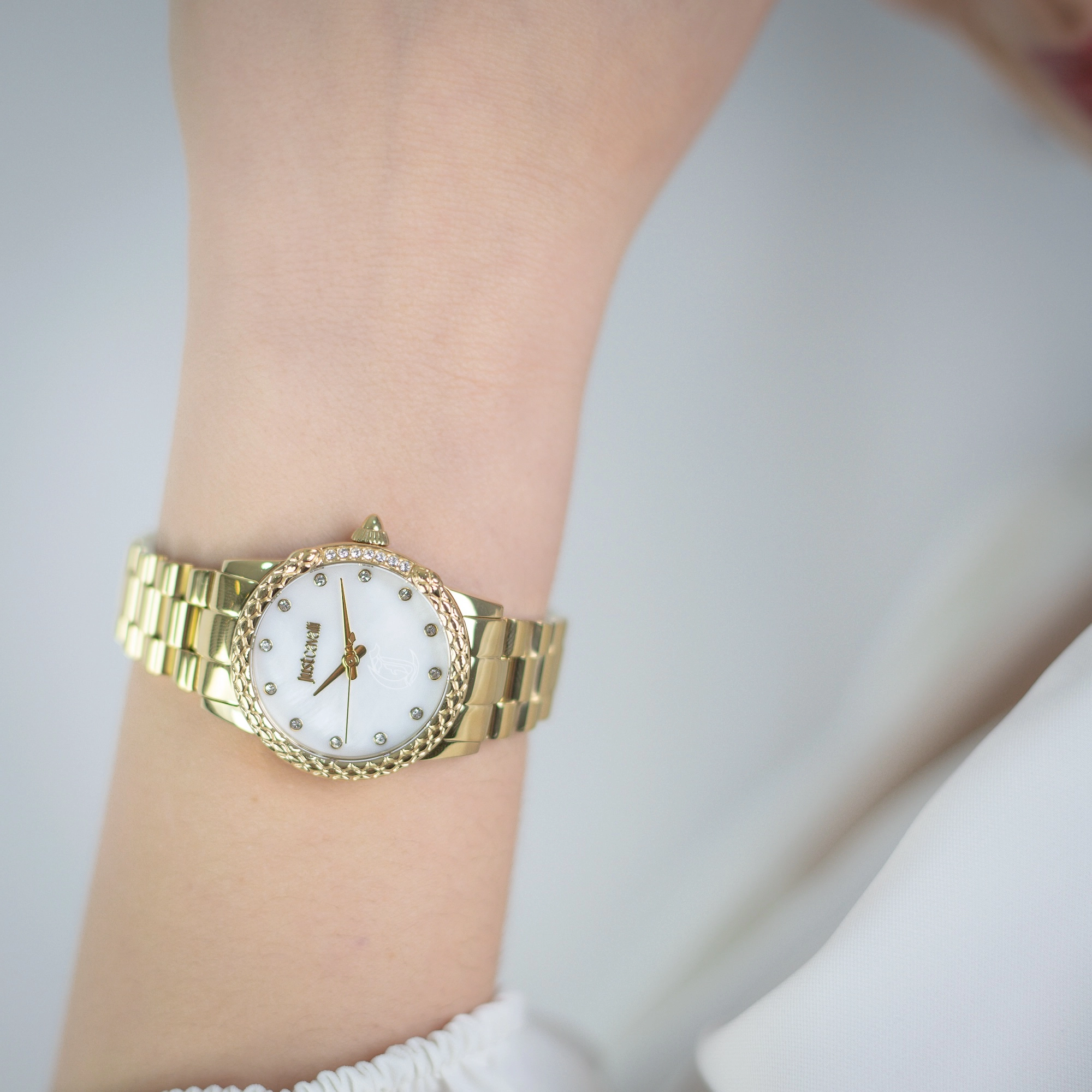 Just Cavalli Animalier JC1L310 Fiorenza Snake JC1L310M0065 weared watch image
