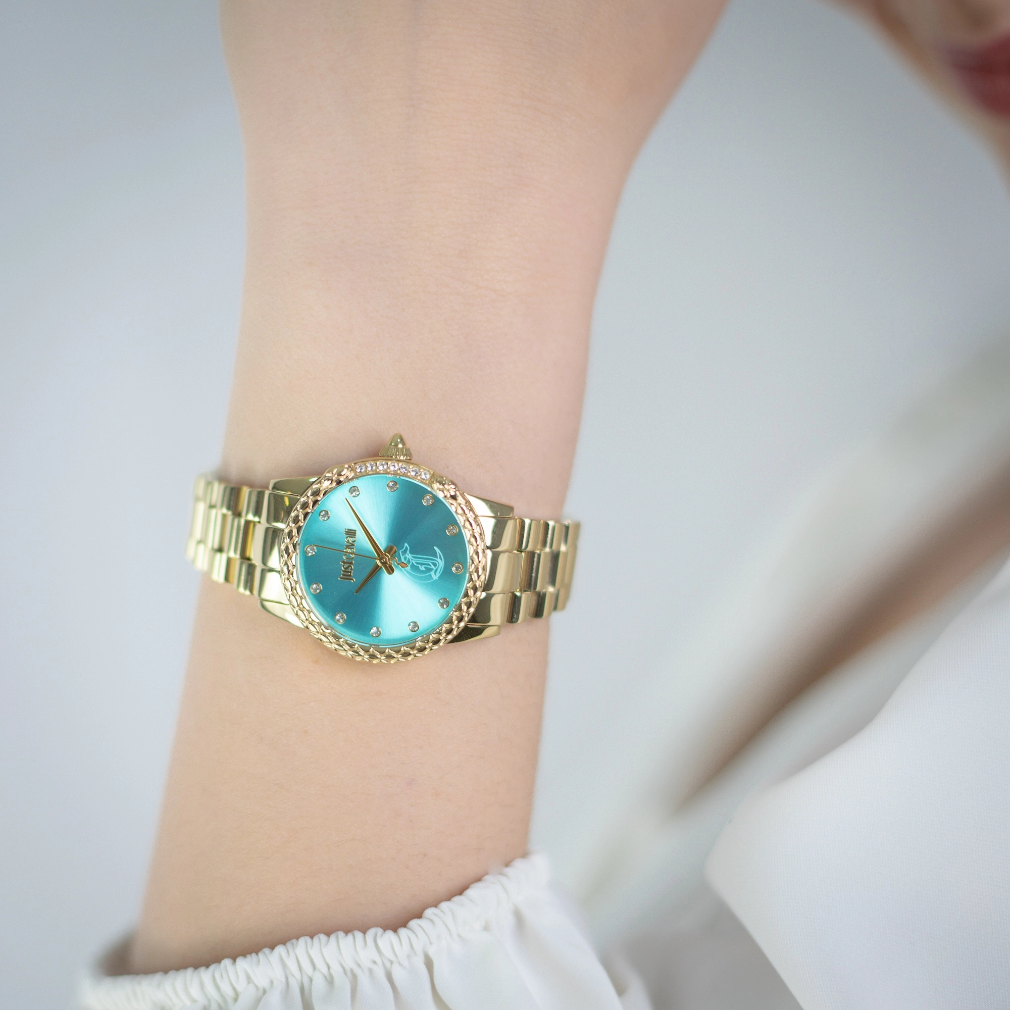 Just Cavalli Animalier JC1L310 Fiorenza Snake JC1L310M0075 weared watch image