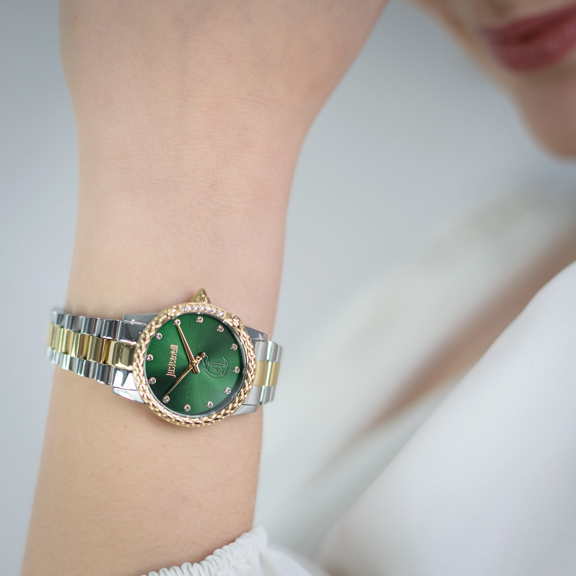 Just Cavalli Animalier JC1L310 Fiorenza Snake JC1L310M0105 weared watch image