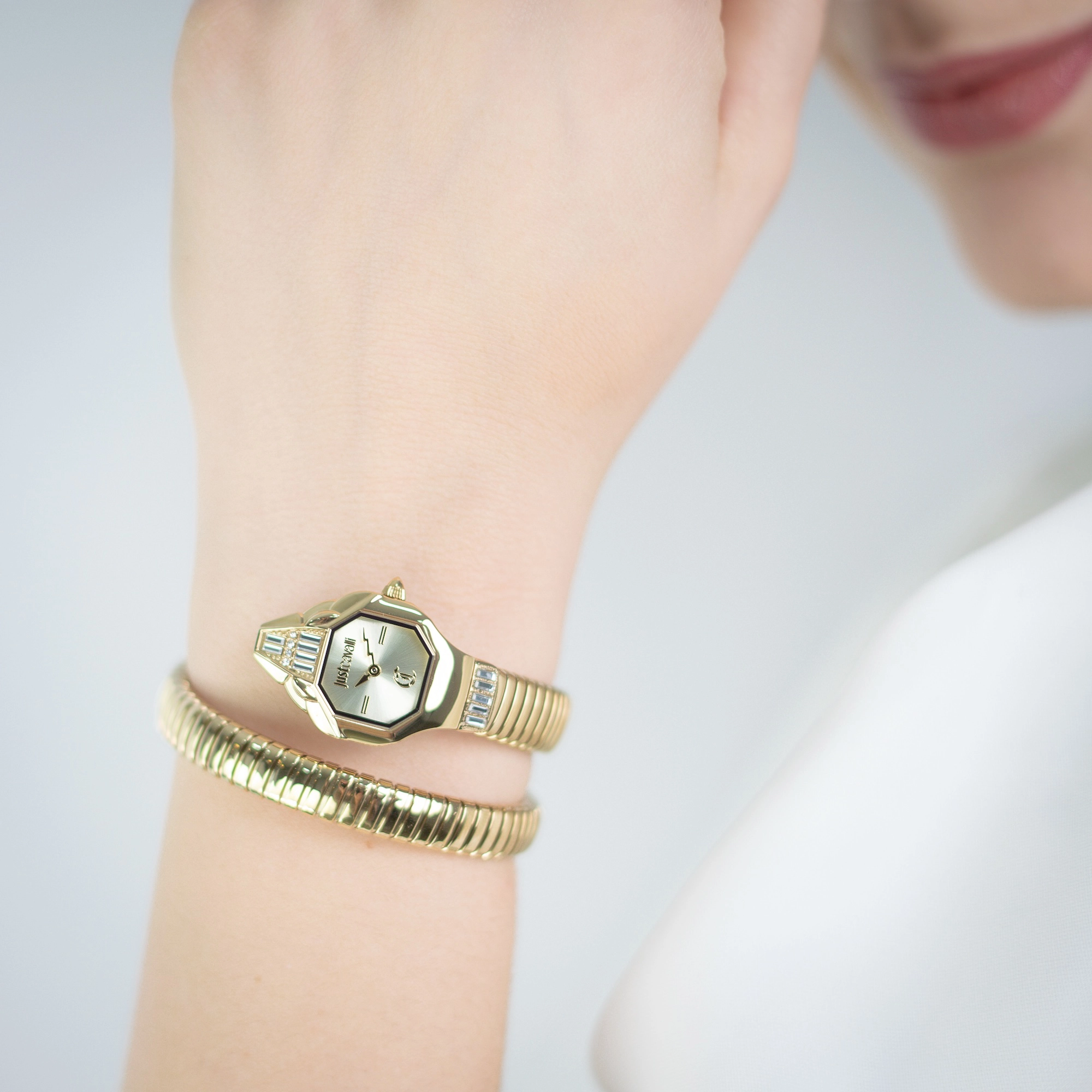 Just Cavalli Signature Snake JC1L326 Brillante Snake JC1L326M0025 weared watch image