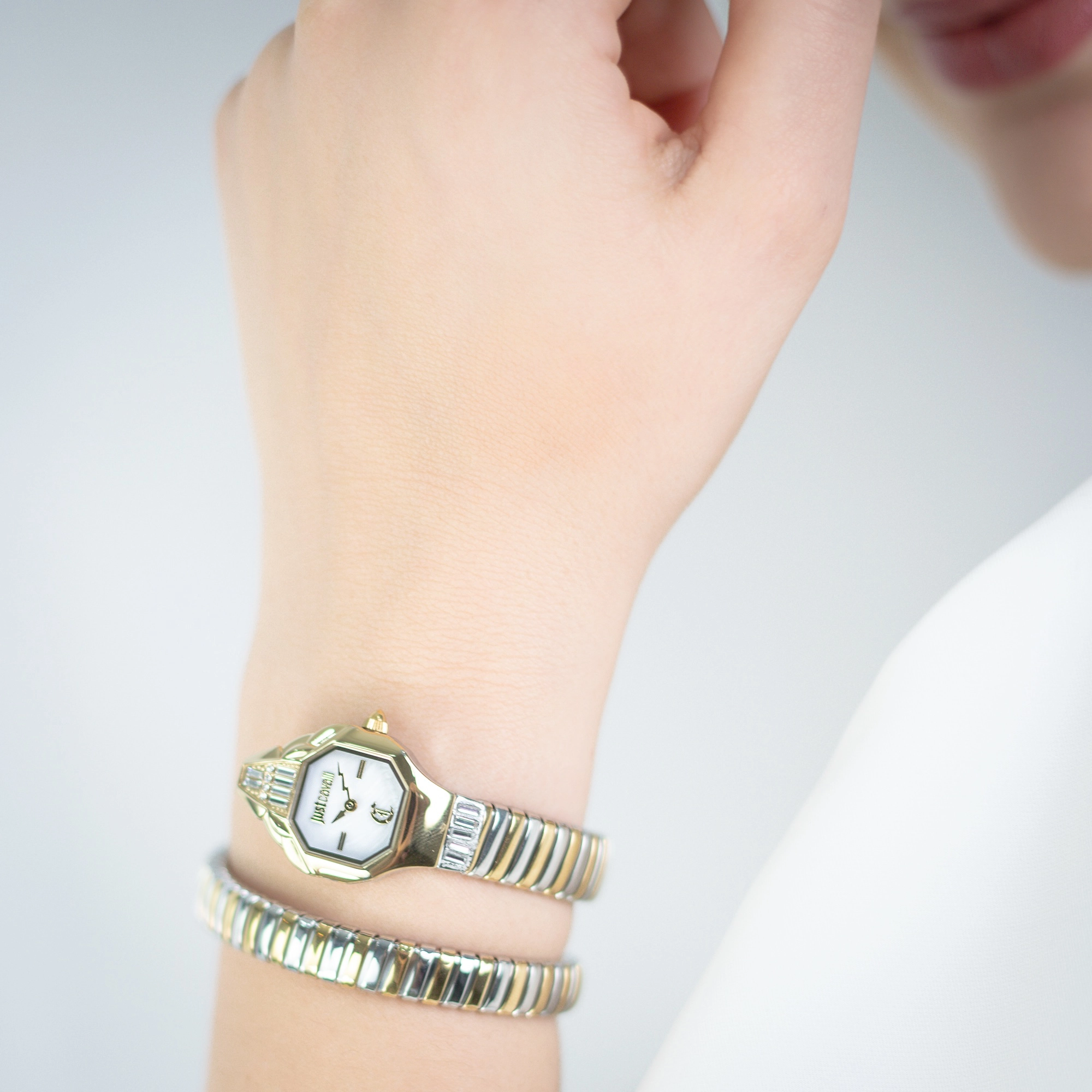 Just Cavalli Signature Snake JC1L326 Brillante Snake JC1L326M0055 weared watch image