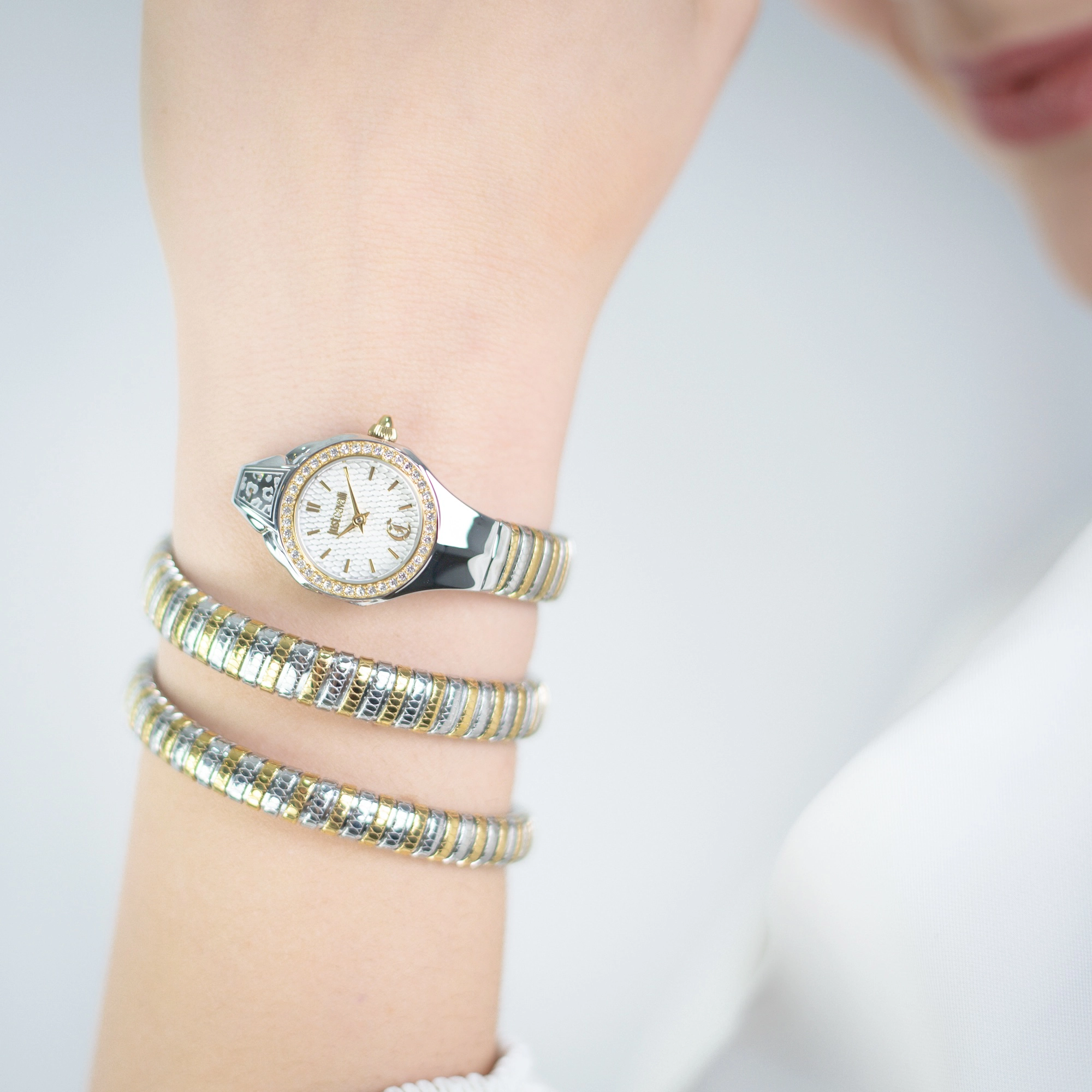 Just Cavalli Signature Snake JC1L355 Vita JC1L355M0055 weared watch image