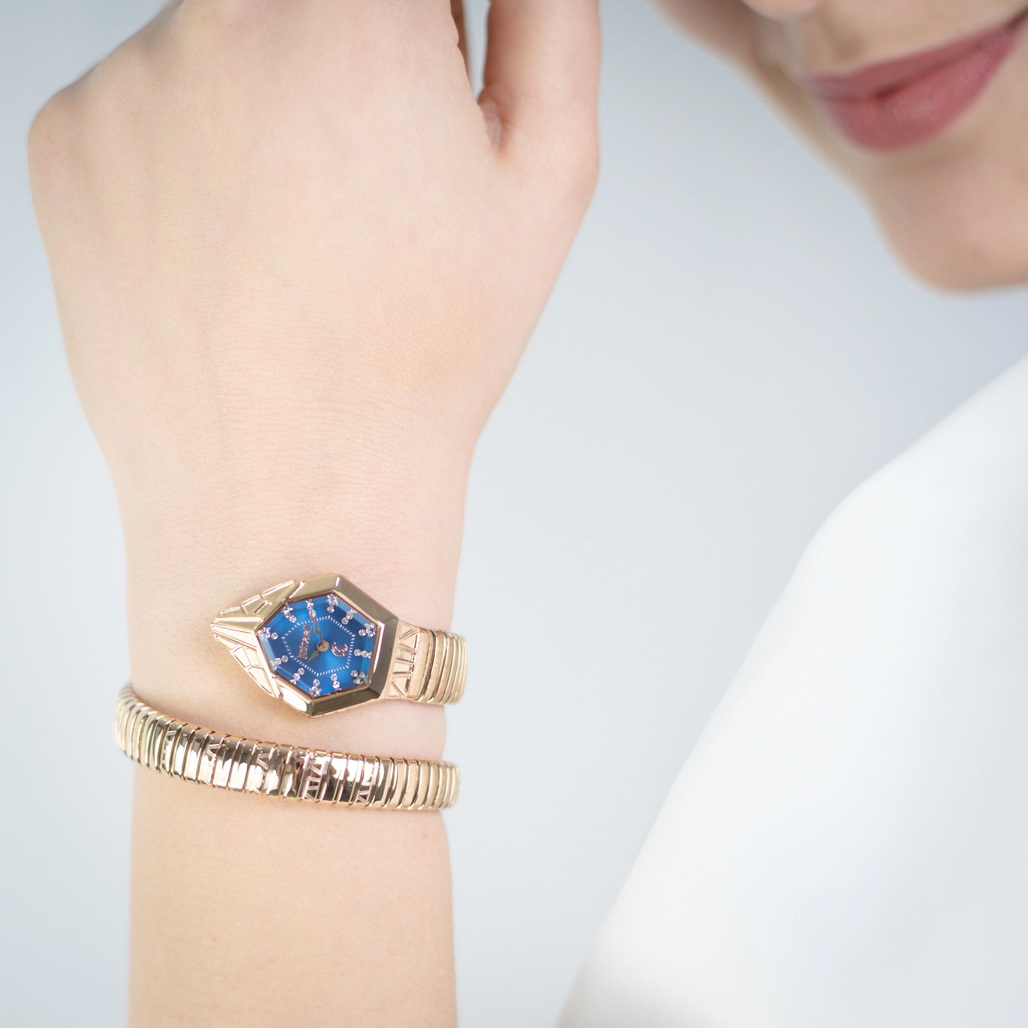 Just Cavalli Signature Snake JC1L358 Gemma JC1L358M0055 weared watch image