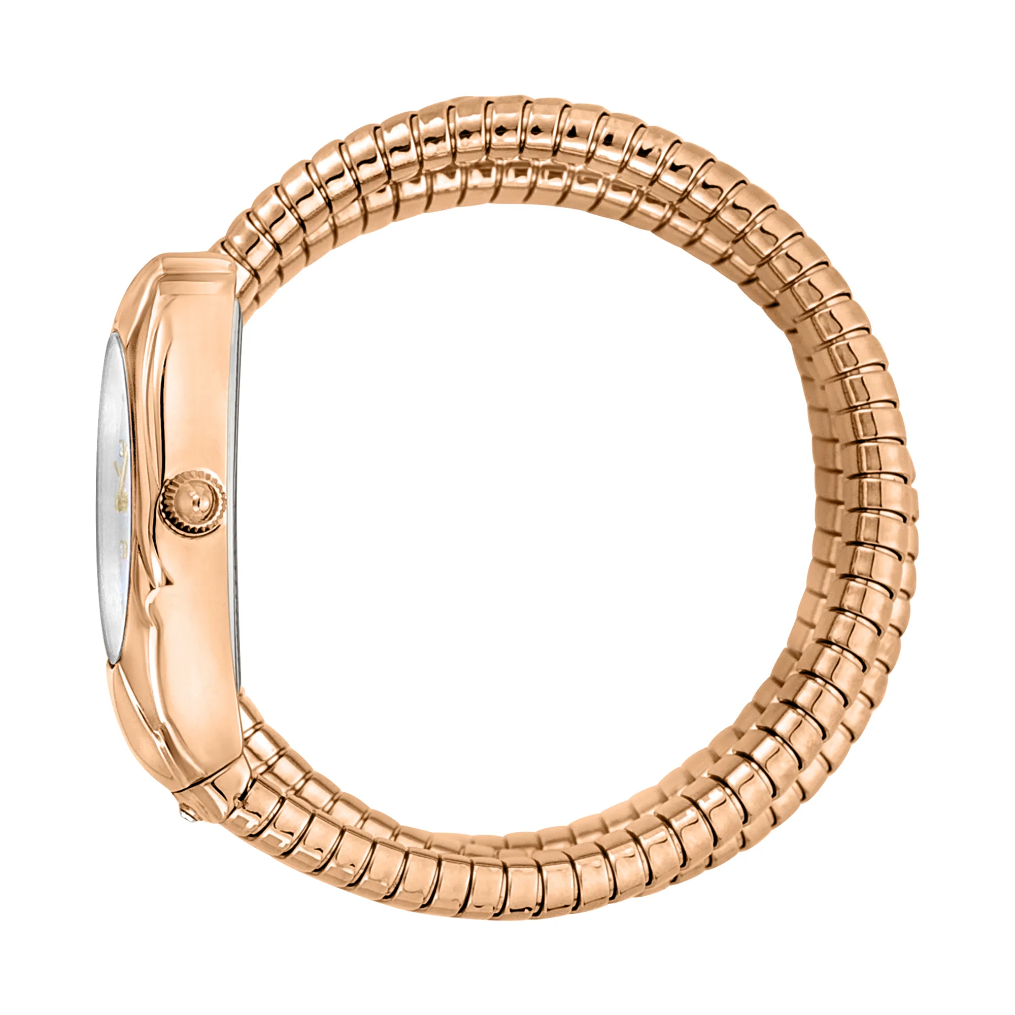 Just Cavalli Signature Snake Nobile Ladies Fashion Watch - Rose Gold Silver JC1L185M0025 video360