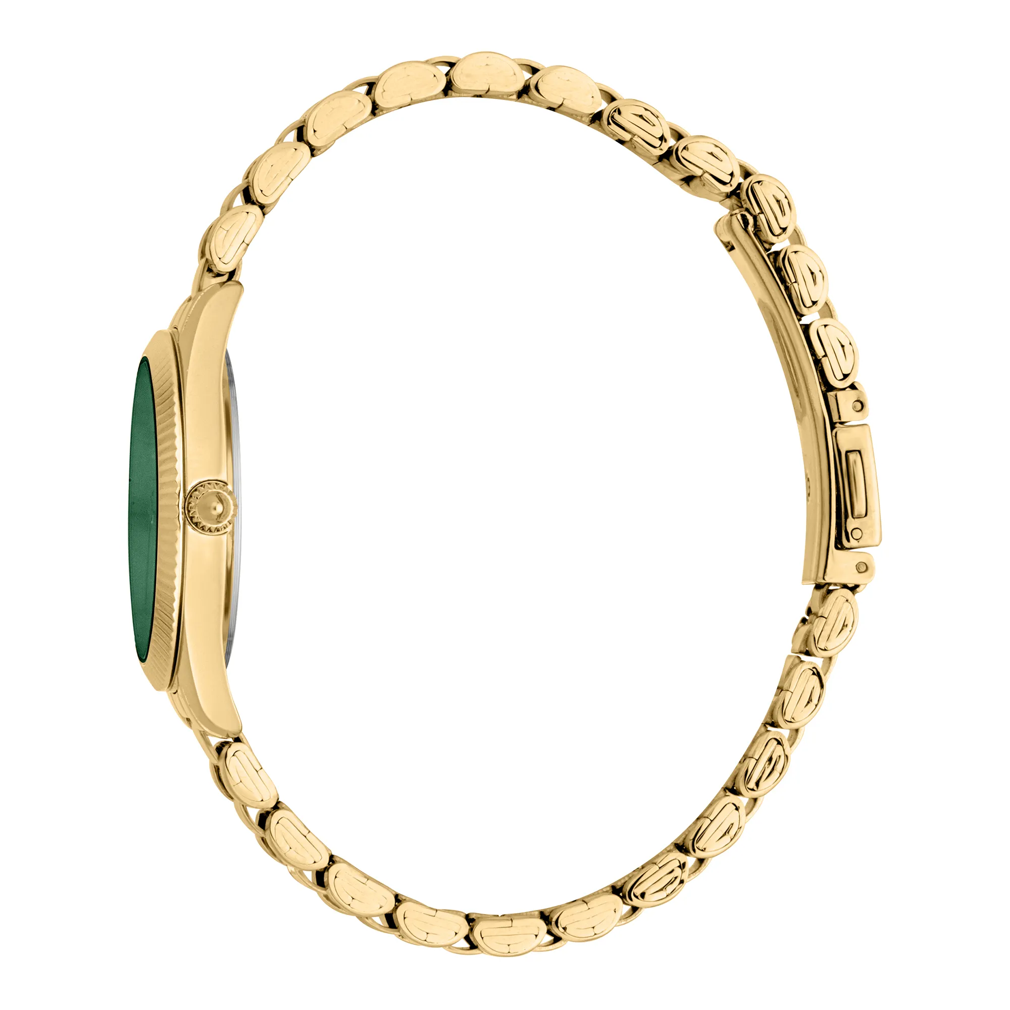 Just Cavalli Glam Chic Pacentro Ladies Fashion Watch - Yellow Gold Bottle Green JC1L267M0065 video360