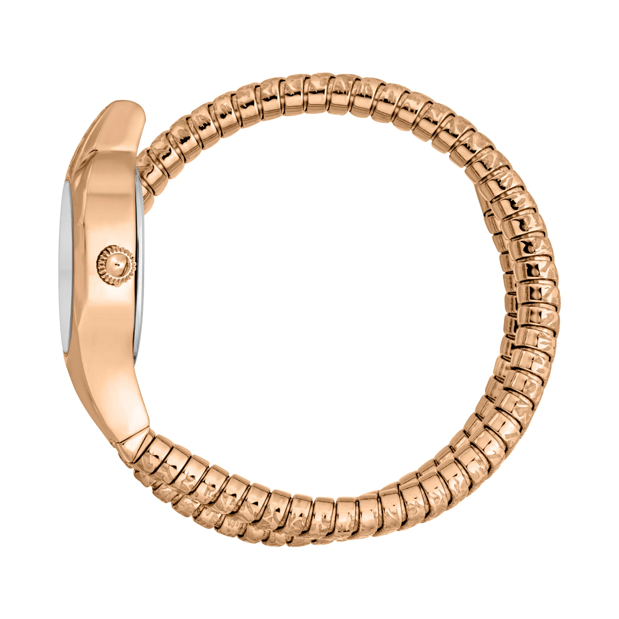 Just Cavalli Signature Snake Amalfi Ladies Fashion Watch - Rose Gold Silver Grey JC1L270M0045 video360