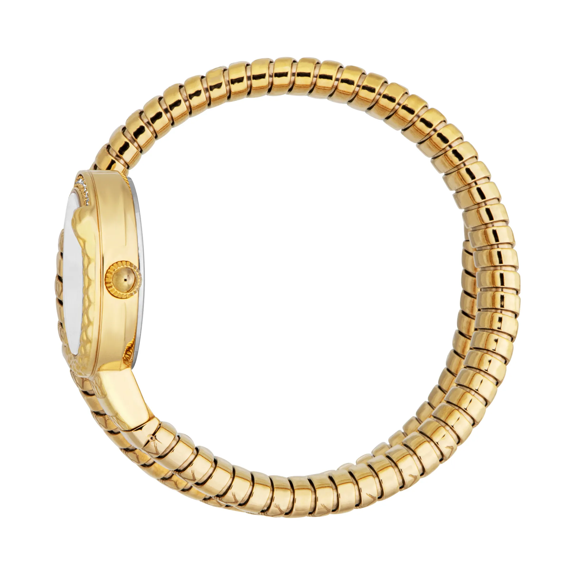 Just Cavalli Signature Snake Cerchio Snake Ladies Fashion Watch - Yellow Gold Silver Grey JC1L301M0025 video360