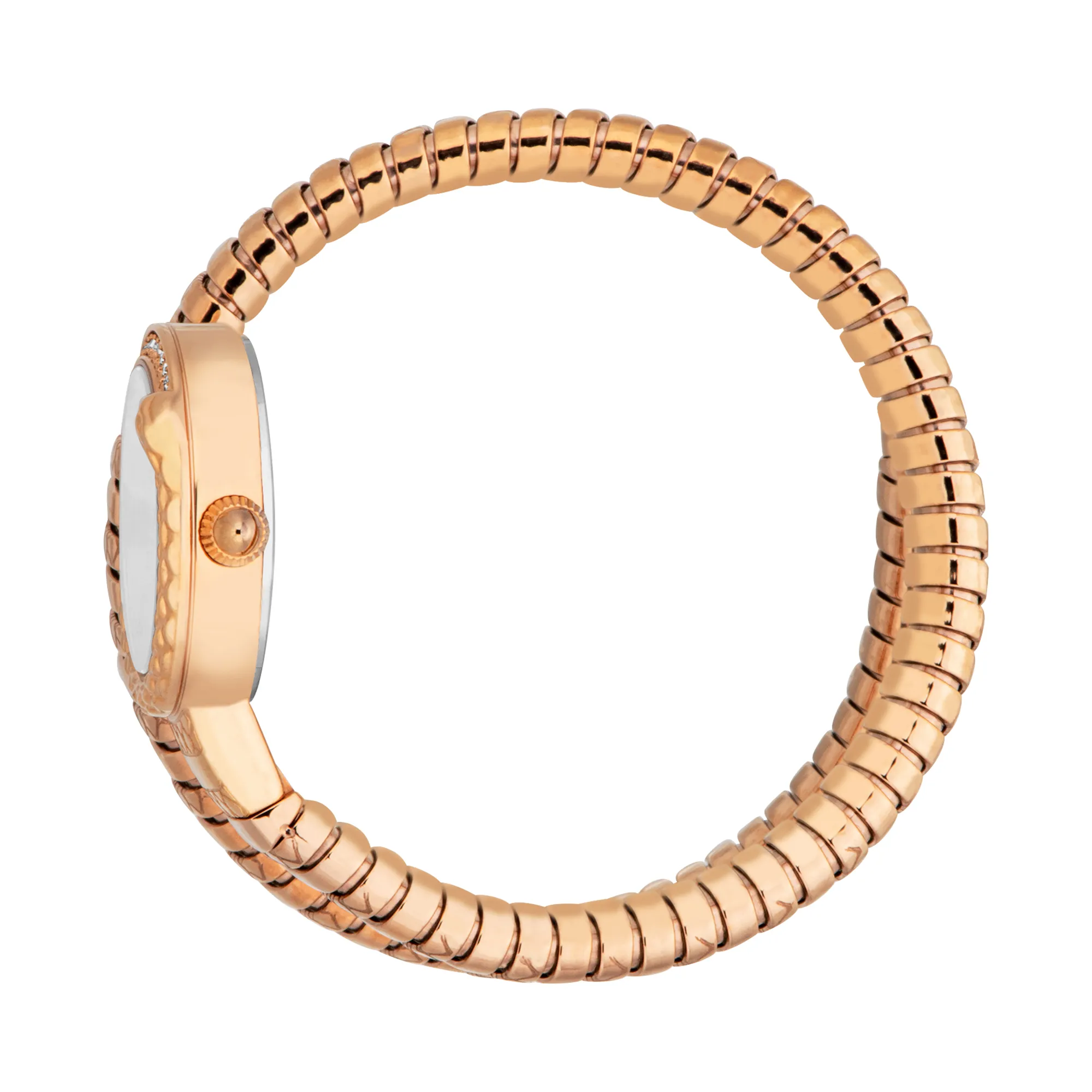 Just Cavalli Signature Snake Cerchio Snake Ladies Fashion Watch - Rose Gold Silver Grey JC1L301M0045 video360