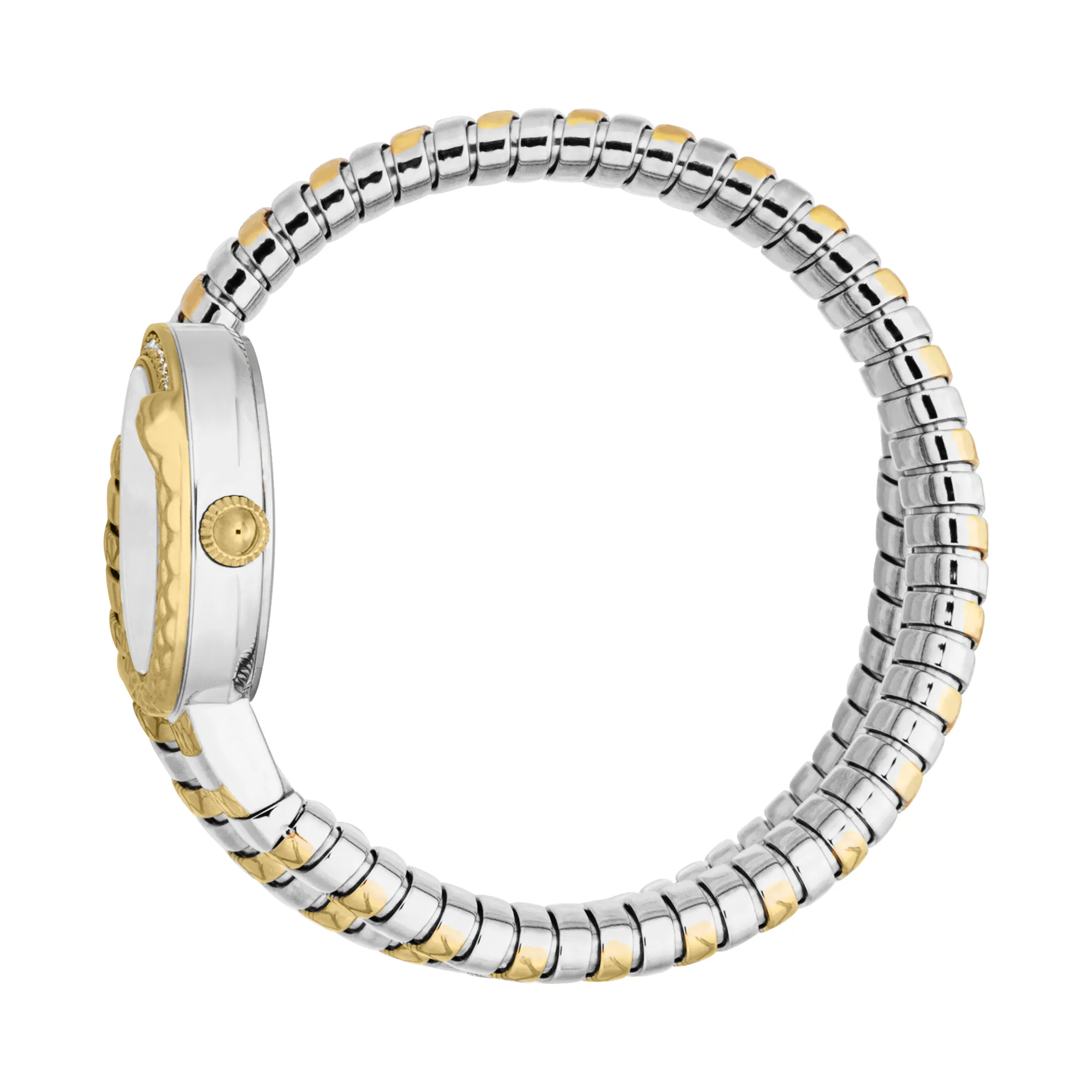 Just Cavalli Signature Snake Cerchio Snake Ladies Fashion Watch - Two Tones YG Silver Grey JC1L301M0065 video360