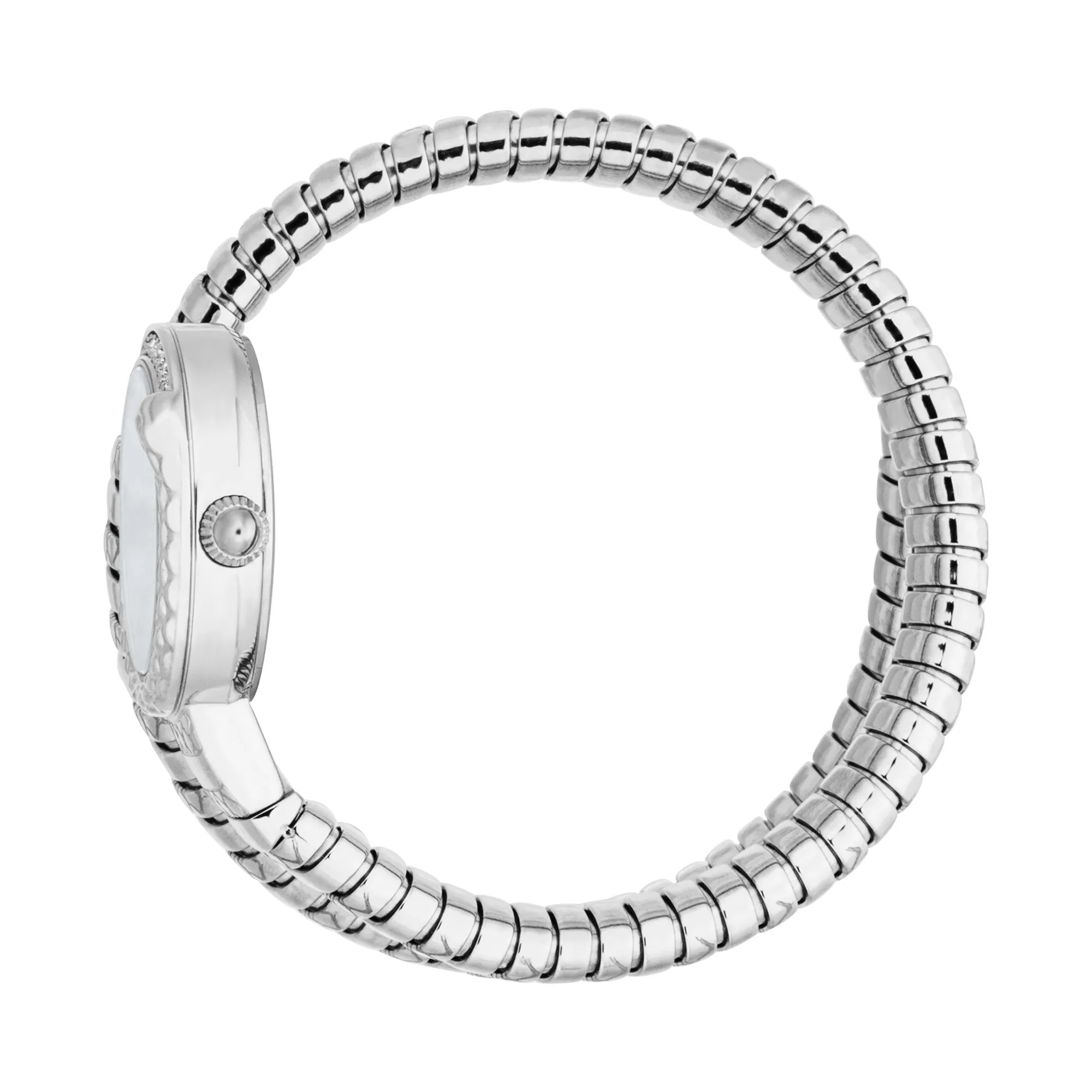 Just Cavalli Signature Snake Cerchio Snake Ladies Fashion Watch - Silver Grey JC1L301M0085 video360