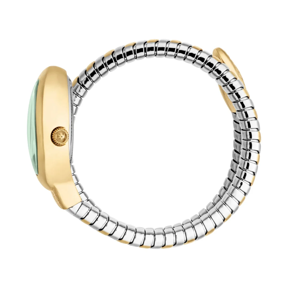 Just Cavalli Signature Snake Eclisse Ladies Fashion Watch - Two Tones YG Silver Green JC1L371M0065 video360