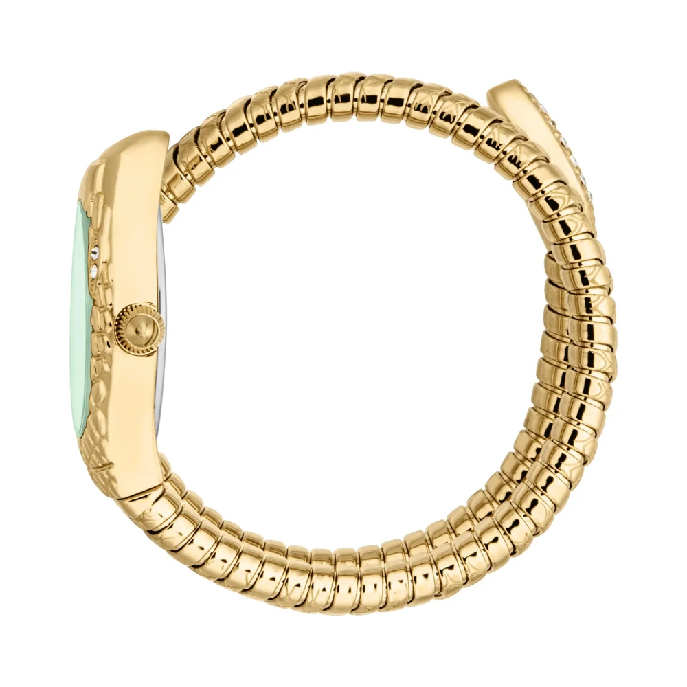 Just Cavalli Signature Snake Vetra Ladies Fashion Watch - Yellow Gold Green JC1L373M0035 video360