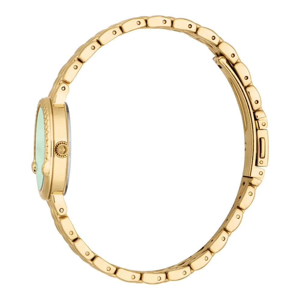 Just Cavalli Animalier Rosa Snake Ladies Fashion Watch - Yellow Gold Green JC1L379M0035 video360