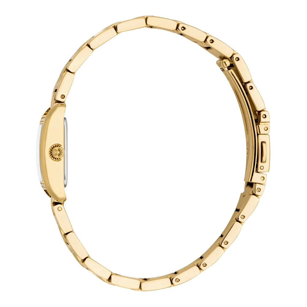 Just Cavalli Animalier Sera Ladies Fashion Watch - Yellow Gold Silver JC1L384M0065 video360