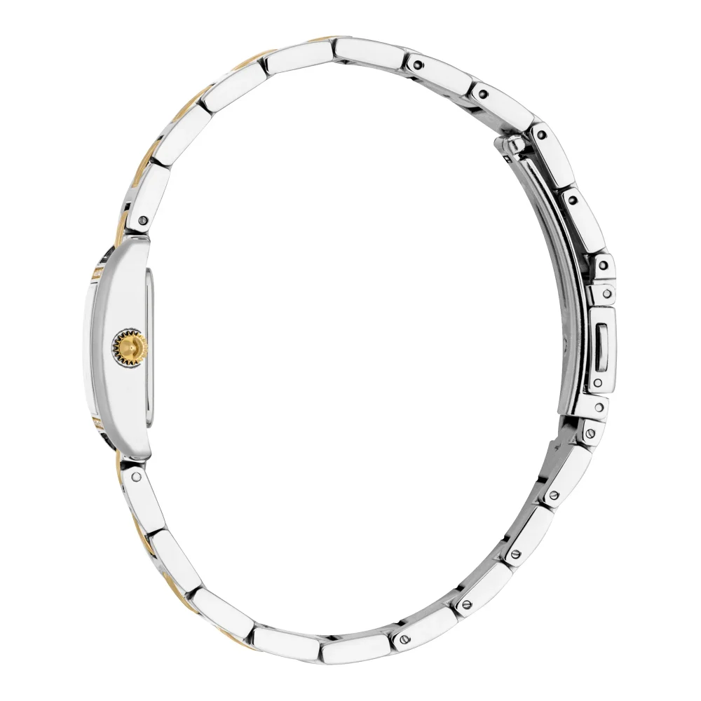 Just Cavalli Animalier Sera Ladies Fashion Watch - Two Tones YG Silver JC1L384M0085 video360