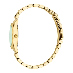 Just Cavalli Animalier Amabile Ladies Fashion Watch - Yellow Gold Green JC1L388M0075 video360