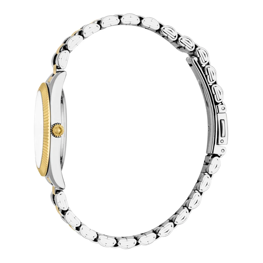 Just Cavalli Animalier Amabile Ladies Fashion Watch - Two Tones YG JC1L388M0095 video360